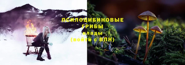 эйфоретик Пестово