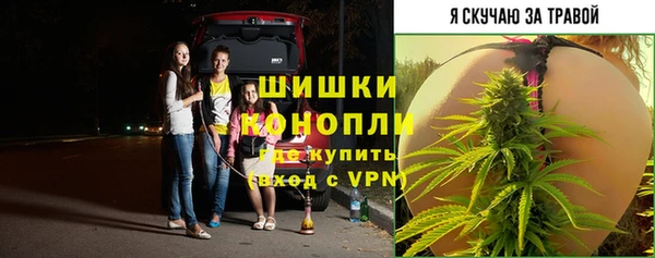 эйфоретик Пестово