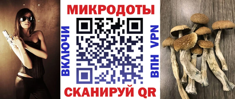магазин    Ревда  Галлюциногенные грибы MAGIC MUSHROOMS 