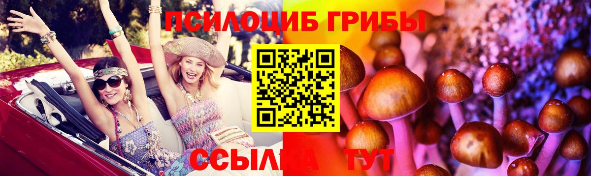 Ревда  Галлюциногенные грибы ЛСД  Псилоцибиновые грибы Magic Shrooms  Вход с VPN 